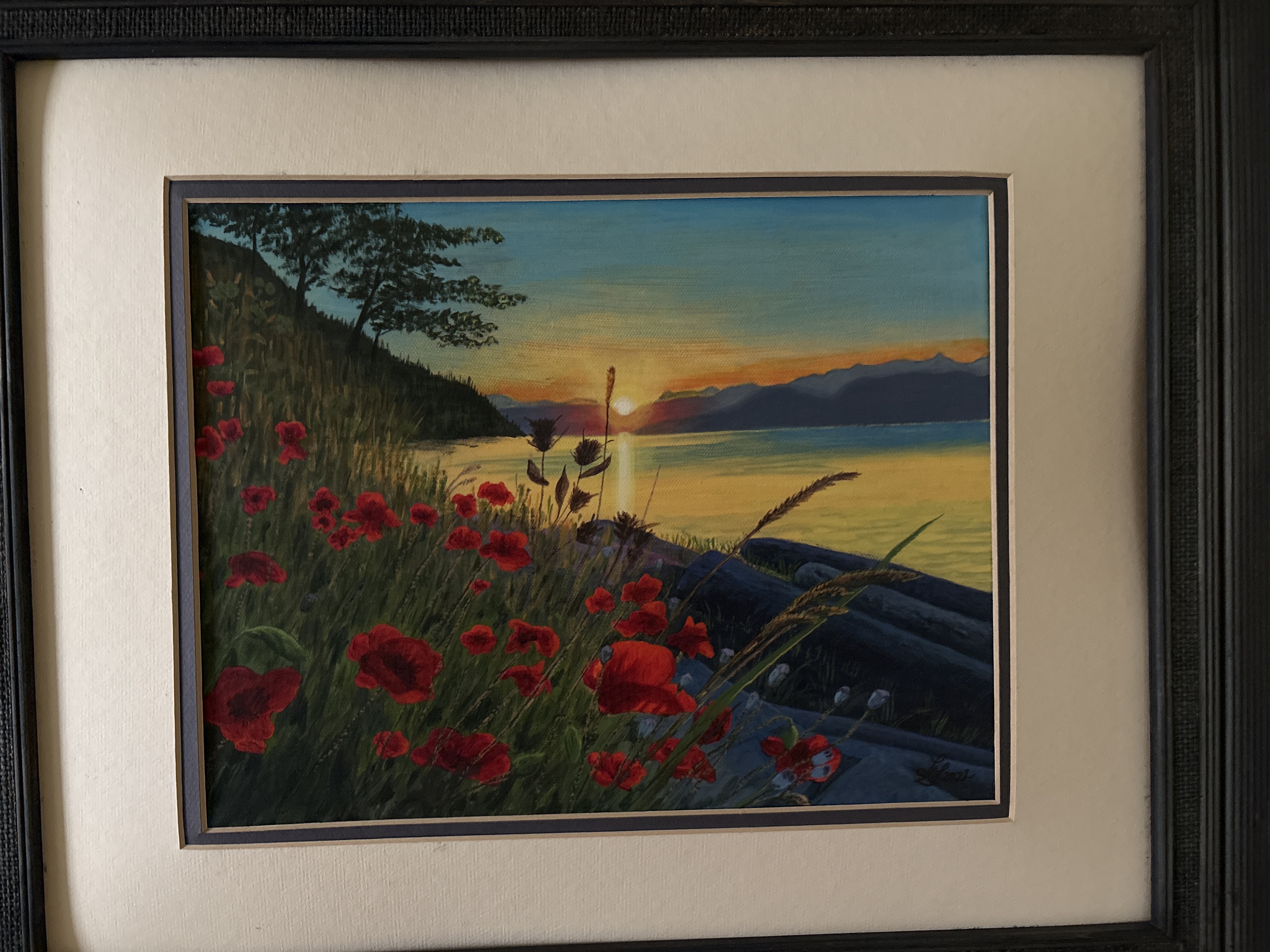 Wild Poppies