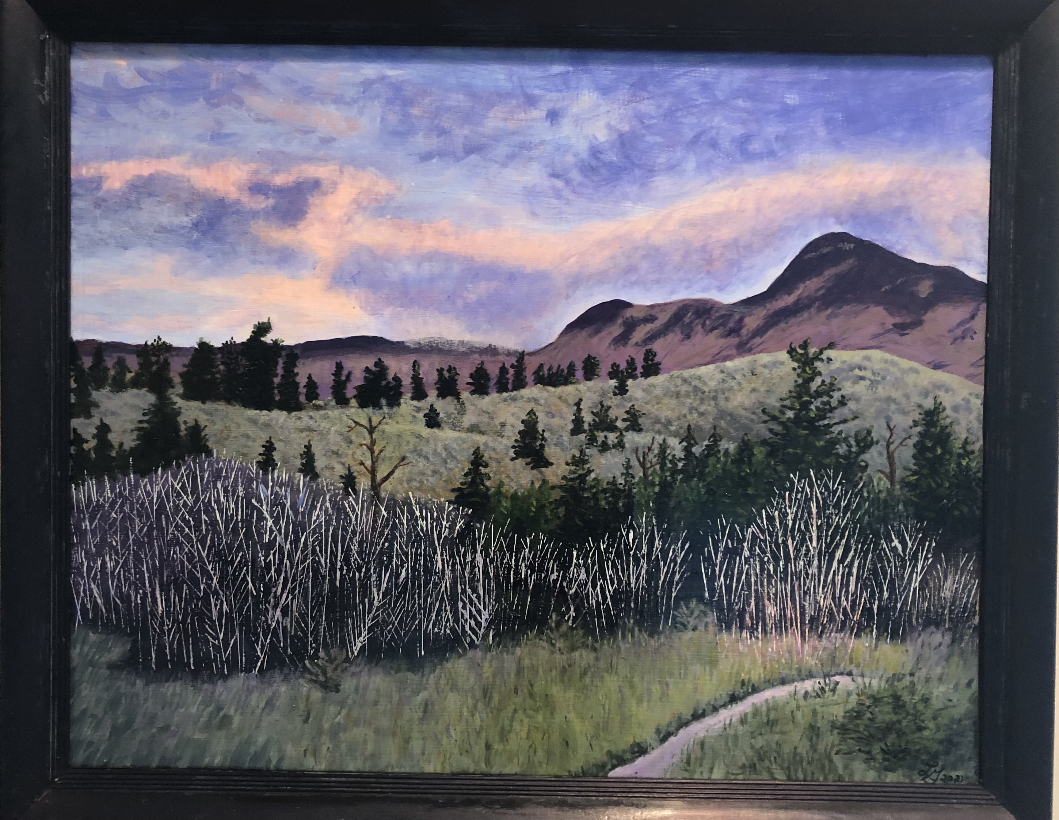 Interior Hills