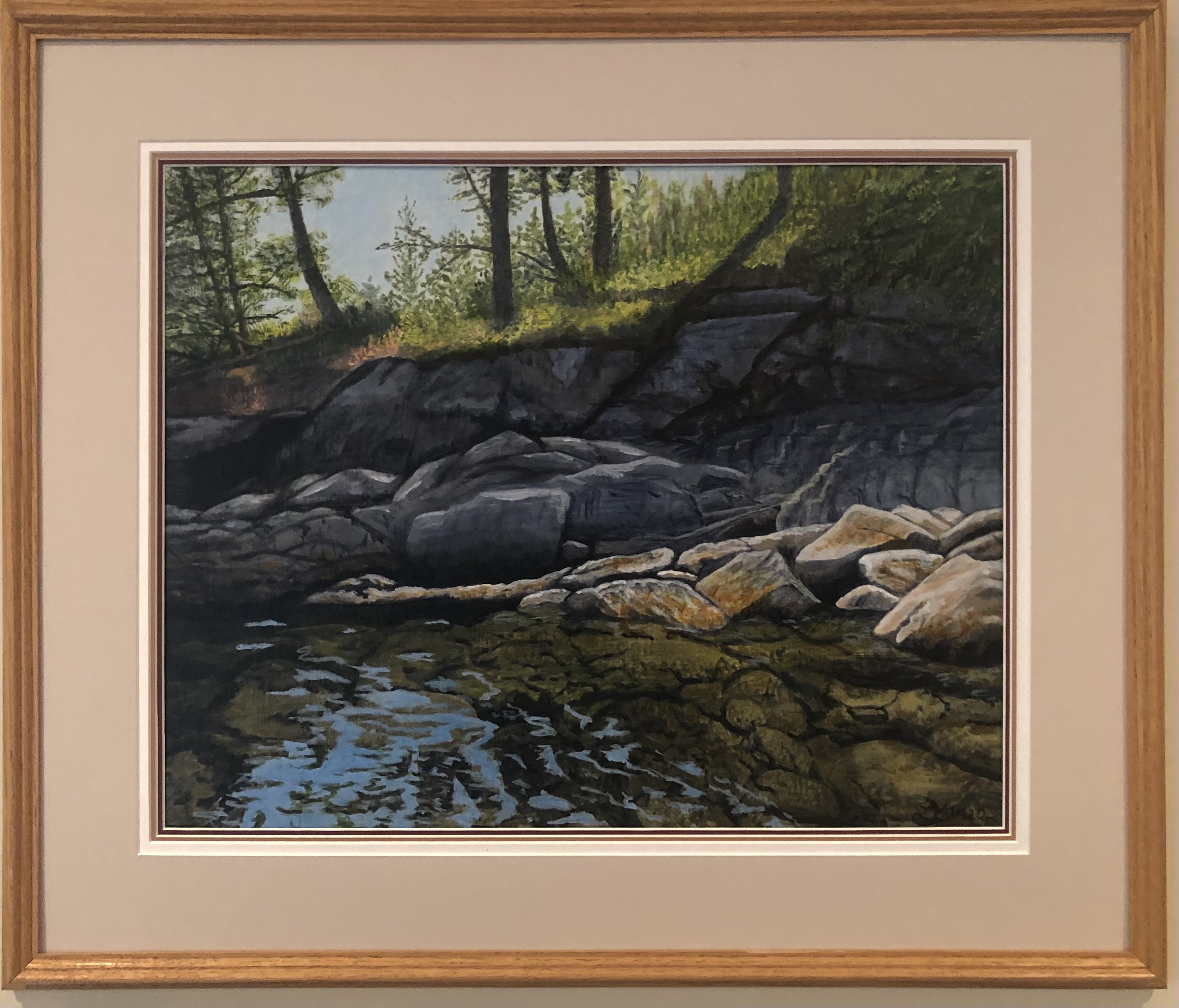 Serene Shore